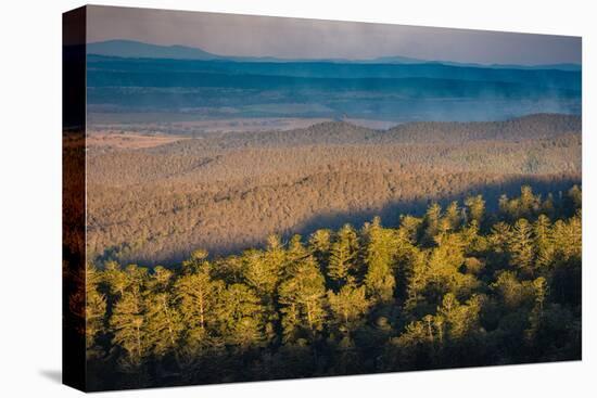 Bunya Mountains National Park, Queensland, Australia-Mark A Johnson-Stretched Canvas
