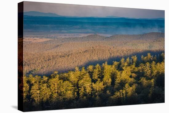Bunya Mountains National Park, Queensland, Australia-Mark A Johnson-Stretched Canvas