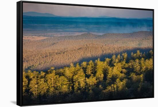 Bunya Mountains National Park, Queensland, Australia-Mark A Johnson-Framed Stretched Canvas