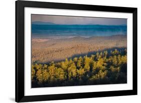 Bunya Mountains National Park, Queensland, Australia-Mark A Johnson-Framed Photographic Print