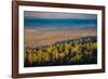 Bunya Mountains National Park, Queensland, Australia-Mark A Johnson-Framed Photographic Print