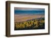 Bunya Mountains National Park, Queensland, Australia-Mark A Johnson-Framed Photographic Print