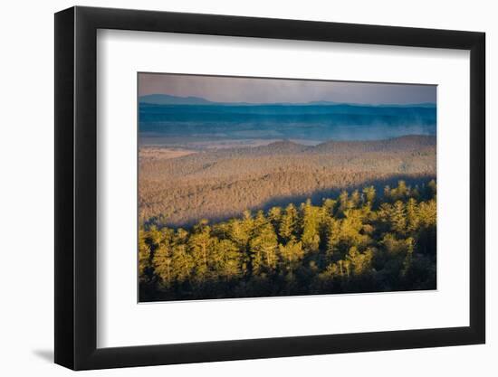 Bunya Mountains National Park, Queensland, Australia-Mark A Johnson-Framed Photographic Print