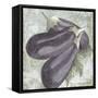Buon Appetito Eggplant-Megan Aroon Duncanson-Framed Stretched Canvas