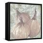 Buon Appetito Red Onions-Megan Aroon Duncanson-Framed Stretched Canvas