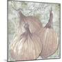 Buon Appetito Red Onions-Megan Aroon Duncanson-Mounted Giclee Print