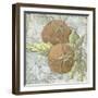 Buon Appetito Tomatoes-Megan Aroon Duncanson-Framed Giclee Print