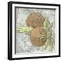 Buon Appetito Tomatoes-Megan Aroon Duncanson-Framed Giclee Print