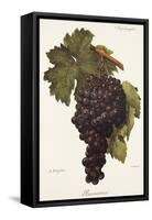 Buonamico Grape-A. Kreyder-Framed Stretched Canvas