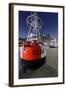 Buoy 'Elbe 1', Hafencity, Hanseatic City of Hamburg, Germany-Axel Schmies-Framed Photographic Print