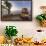 Buoy Monument, Key West Florida, USA-Chuck Haney-Framed Photographic Print displayed on a wall