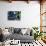 Buoys on an Old Shed at Bernard, Maine, USA-Joanne Wells-Photographic Print displayed on a wall