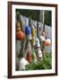 Buoys outside Lucy J's Jewelry and Glass Studio, Eastham, Cape Cod, Massachusetts, USA-Susan Pease-Framed Premium Photographic Print