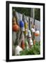 Buoys outside Lucy J's Jewelry and Glass Studio, Eastham, Cape Cod, Massachusetts, USA-Susan Pease-Framed Premium Photographic Print