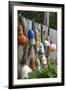 Buoys outside Lucy J's Jewelry and Glass Studio, Eastham, Cape Cod, Massachusetts, USA-Susan Pease-Framed Premium Photographic Print