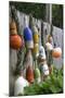 Buoys outside Lucy J's Jewelry and Glass Studio, Eastham, Cape Cod, Massachusetts, USA-Susan Pease-Mounted Premium Photographic Print