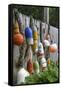 Buoys outside Lucy J's Jewelry and Glass Studio, Eastham, Cape Cod, Massachusetts, USA-Susan Pease-Framed Stretched Canvas