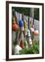 Buoys outside Lucy J's Jewelry and Glass Studio, Eastham, Cape Cod, Massachusetts, USA-Susan Pease-Framed Photographic Print