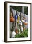 Buoys outside Lucy J's Jewelry and Glass Studio, Eastham, Cape Cod, Massachusetts, USA-Susan Pease-Framed Photographic Print