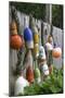 Buoys outside Lucy J's Jewelry and Glass Studio, Eastham, Cape Cod, Massachusetts, USA-Susan Pease-Mounted Photographic Print