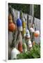 Buoys outside Lucy J's Jewelry and Glass Studio, Eastham, Cape Cod, Massachusetts, USA-Susan Pease-Framed Photographic Print