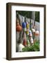 Buoys outside Lucy J's Jewelry and Glass Studio, Eastham, Cape Cod, Massachusetts, USA-Susan Pease-Framed Photographic Print