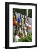 Buoys outside Lucy J's Jewelry and Glass Studio, Eastham, Cape Cod, Massachusetts, USA-Susan Pease-Framed Photographic Print