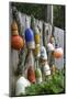 Buoys outside Lucy J's Jewelry and Glass Studio, Eastham, Cape Cod, Massachusetts, USA-Susan Pease-Mounted Photographic Print