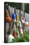 Buoys outside Lucy J's Jewelry and Glass Studio, Eastham, Cape Cod, Massachusetts, USA-Susan Pease-Stretched Canvas