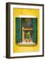 Burano, Veneto, Italy-Russ Bishop-Framed Photographic Print