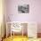 Burano, Venice, Italy-Alan Copson-Mounted Photographic Print displayed on a wall