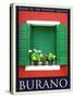 Burano Window, Italy 11-Anna Siena-Stretched Canvas
