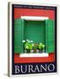 Burano Window, Italy 11-Anna Siena-Stretched Canvas