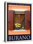 Burano Window, Italy 14-Anna Siena-Stretched Canvas