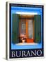 Burano Window, Italy 15-Anna Siena-Stretched Canvas