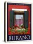 Burano Window, Italy  25-Anna Siena-Stretched Canvas