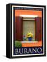 Burano Window, Italy  26-Anna Siena-Framed Stretched Canvas