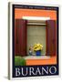 Burano Window, Italy  26-Anna Siena-Stretched Canvas