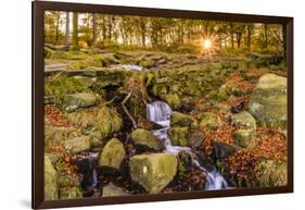 Burbage Brook, autumn sunrise, golden leaves and waterfall, Padley Gorge, Peak District National Pa-Eleanor Scriven-Framed Photographic Print