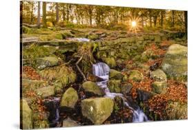 Burbage Brook, autumn sunrise, golden leaves and waterfall, Padley Gorge, Peak District National Pa-Eleanor Scriven-Stretched Canvas