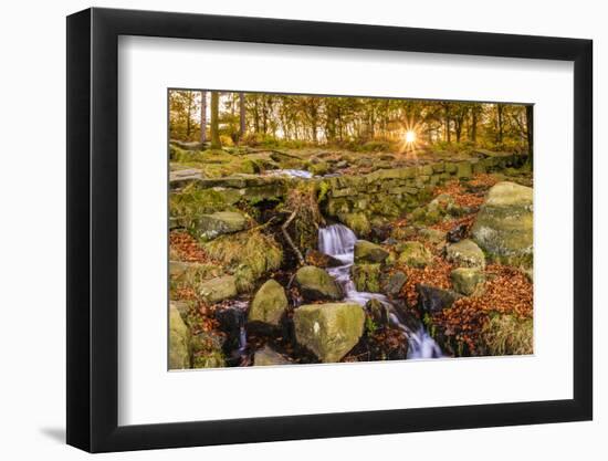 Burbage Brook, autumn sunrise, golden leaves and waterfall, Padley Gorge, Peak District National Pa-Eleanor Scriven-Framed Photographic Print