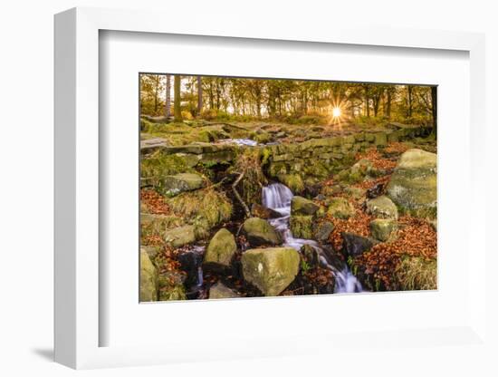 Burbage Brook, autumn sunrise, golden leaves and waterfall, Padley Gorge, Peak District National Pa-Eleanor Scriven-Framed Photographic Print