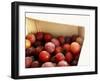 Burbank Plums in a Wooden Crate-Foodcollection-Framed Photographic Print