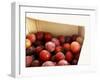 Burbank Plums in a Wooden Crate-Foodcollection-Framed Photographic Print