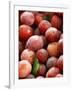 Burbank Plums in a Wooden Crate-Foodcollection-Framed Photographic Print