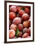 Burbank Plums in a Wooden Crate-Foodcollection-Framed Photographic Print