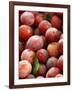 Burbank Plums in a Wooden Crate-Foodcollection-Framed Photographic Print