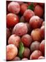 Burbank Plums in a Wooden Crate-Foodcollection-Mounted Photographic Print