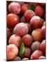 Burbank Plums in a Wooden Crate-Foodcollection-Mounted Photographic Print