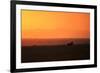 Burchell's zebra at sunrise (Equus quagga), Serengeti National Park, Tanzania, East Africa, Africa-Ashley Morgan-Framed Photographic Print